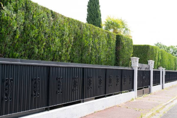 Fence Design