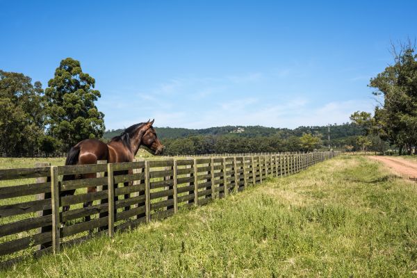 Horse Enclosure Installation