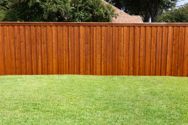 Fence Preservation Service