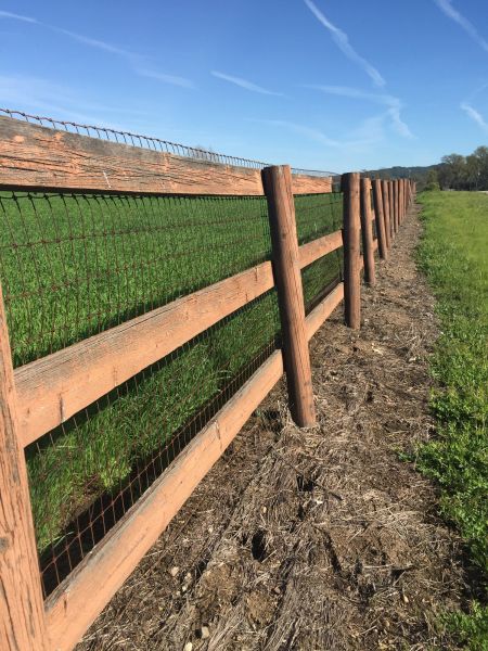 Ranch Fence Building