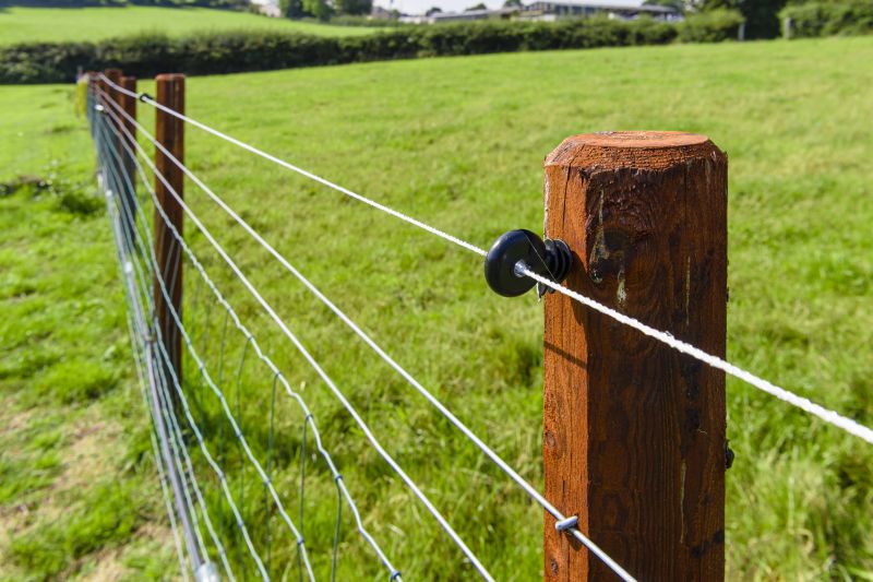 Wire Fencing Service
